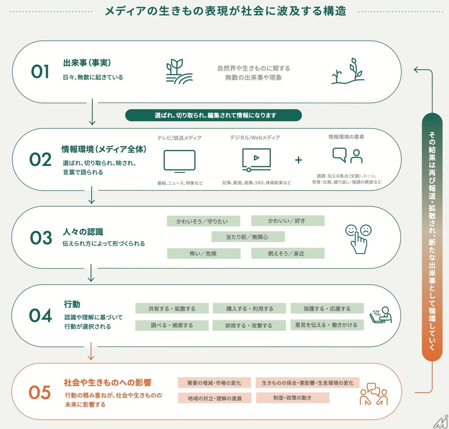 生きもの番組は年間推計約6,470件、一般社団法人ROOTsがメディアと生物多様性の関係を可視化するレポート2本を公開