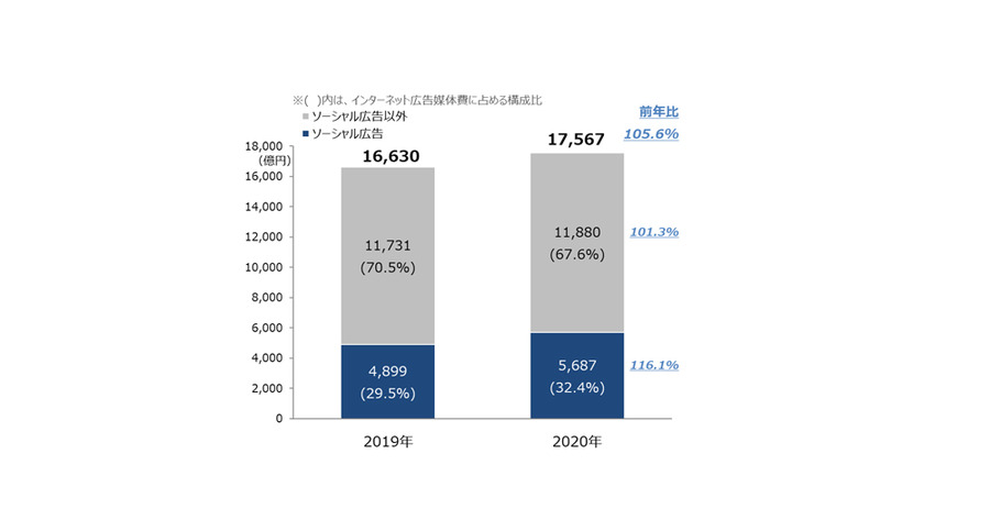 動画広告がインターネット広告媒体費全体の2割以上に…日本の広告費インターネット広告媒体費分析