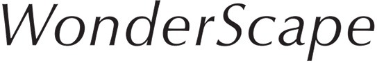 東京建物と読売広告社、プライムプレイスが3社共同で新会社「WonderScape」設立・・・空間メディア事業に参入 画像