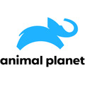 世界最大級動物チャンネル「アニマルプラネット」、ロゴマークをリニューアル…公式Instagramも開設