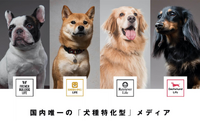 「フレブル」「柴犬」犬種特化の究極のバーティカルメディアが描く、飼い主に寄り添ったコマース展開