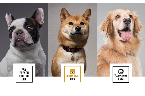 犬関連のメディアを展開するrakanu、VOYAGE GROUPによる全株式取得で完全子会社化 画像