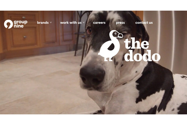 ペットの動画メディア「The Dodo」を運営するGroup Nine、ペット保険会社に投資 画像